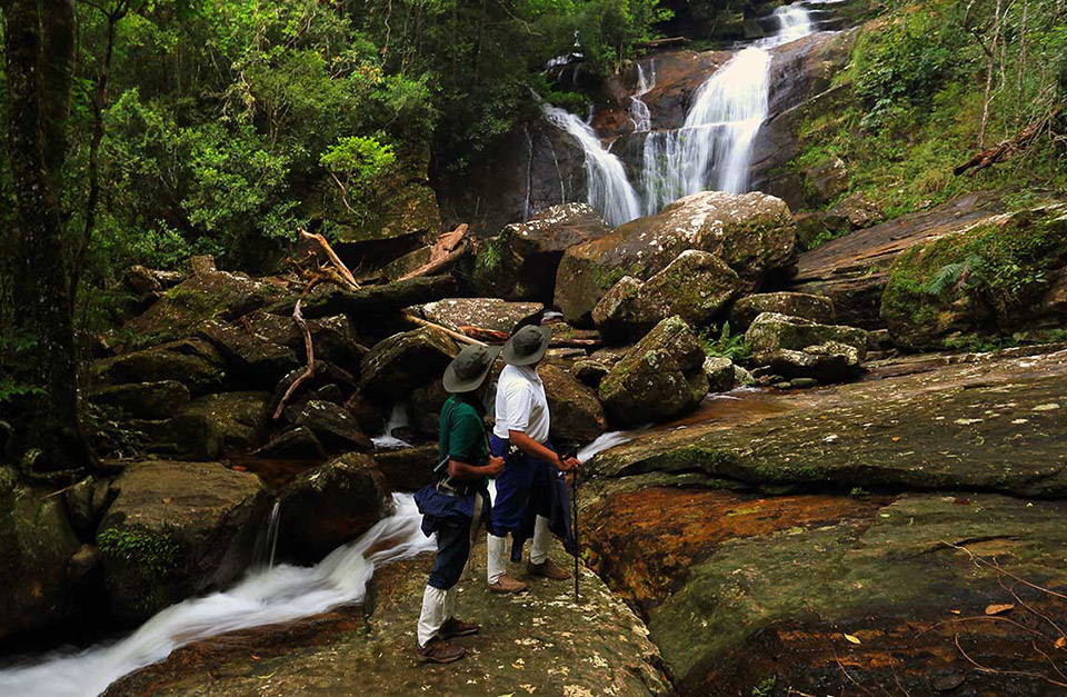 Sinharaja Forest