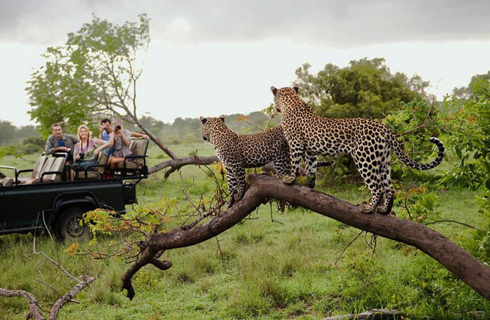 Yala National Park